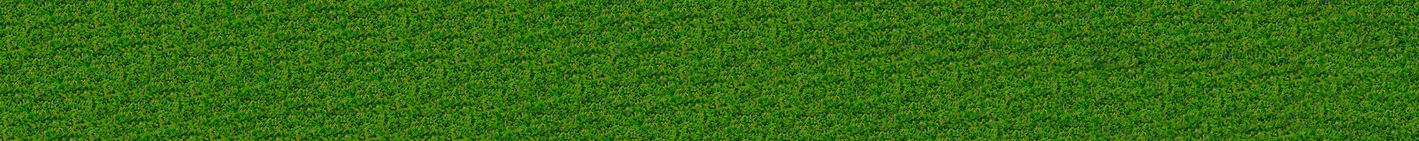 プライバシーポリシー